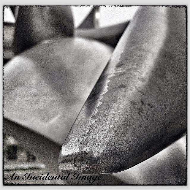 Another quick shot of a cool rose statue in downtown #dc Another quick shot of a cool rose statue in downtown #dc